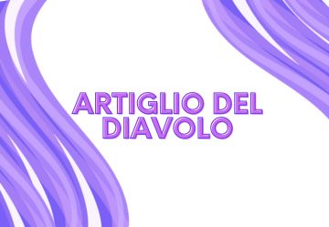 Artiglio del diavolo: a cosa serve e quali sono i migliori integratori -  TuttoFarma